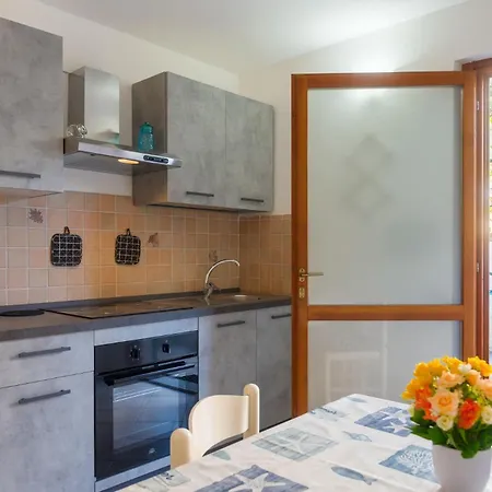 Palmaiola * ريو مارينا