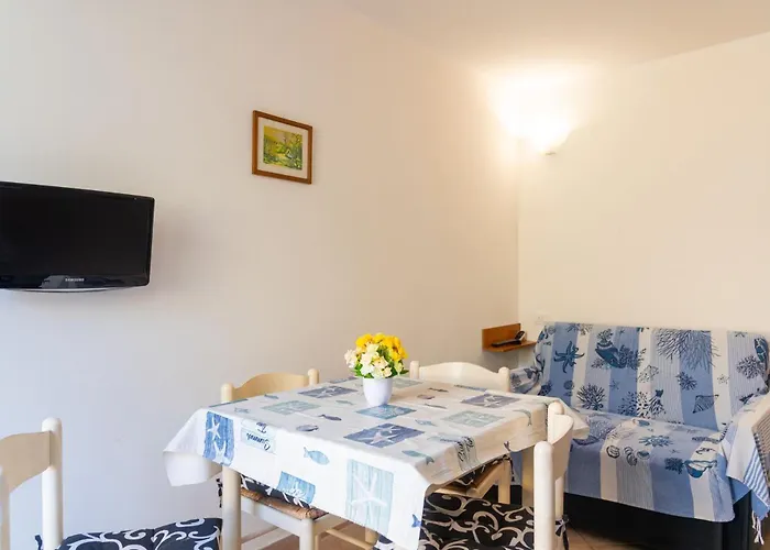 Palmaiola * ريو مارينا