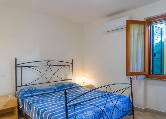 Palmaiola ريو مارينا